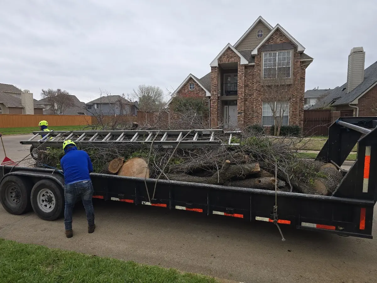 Expert Tree Pest Control with proper safety equipment in Winchendon